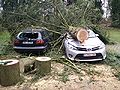 Vorschaubild der Version vom 13:40, 13. Jan. 2015