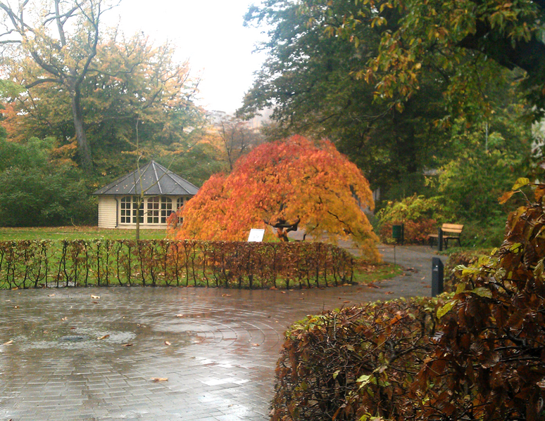 Datei:Botanischer Garten.png