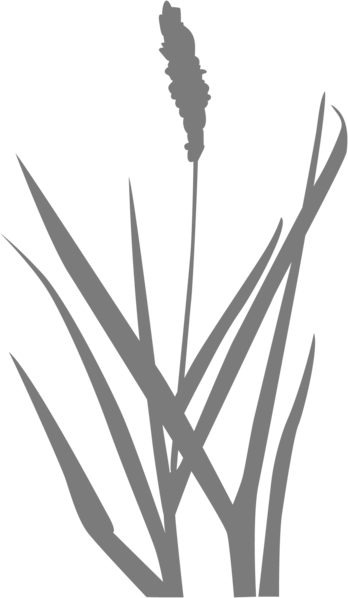 Datei:FOSSGIS 25 Grassbueschel tBG.png