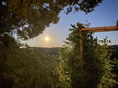 Vollmond hinter dem Linuxhotel