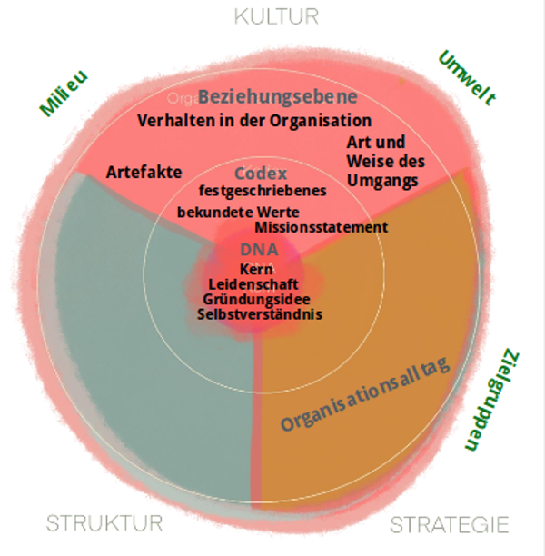 Persepektiven auf eine Organisation